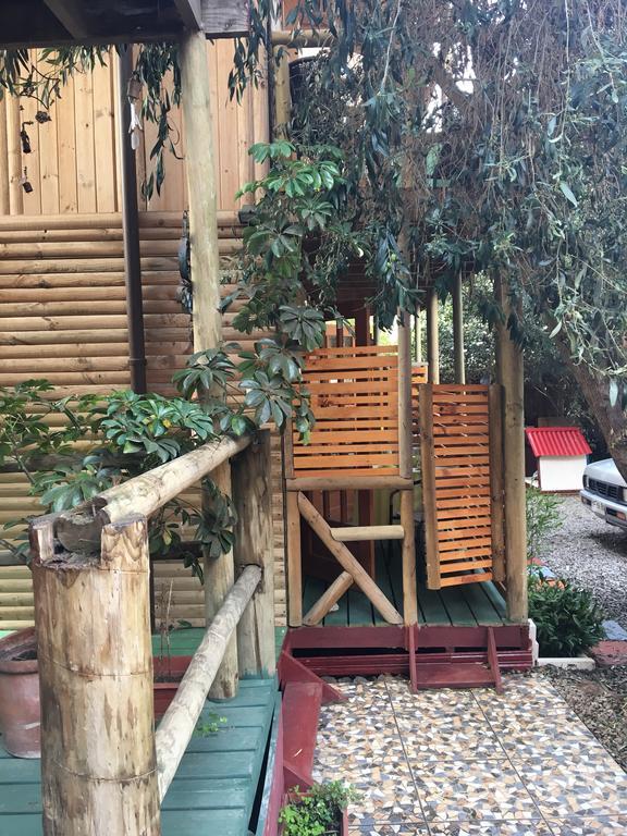 La Maison Des Fous 帕普多 外观 照片